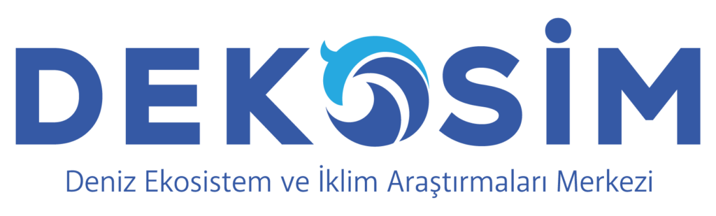 dekosim.ims.metu.edu.tr